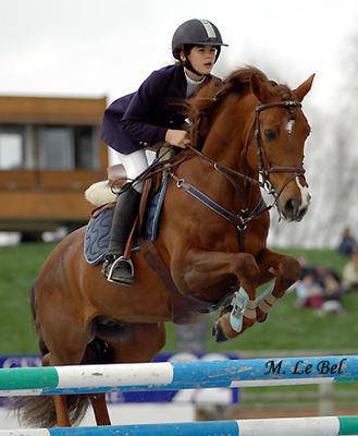 I dont name this horse (je croi kon le dit komm sa)